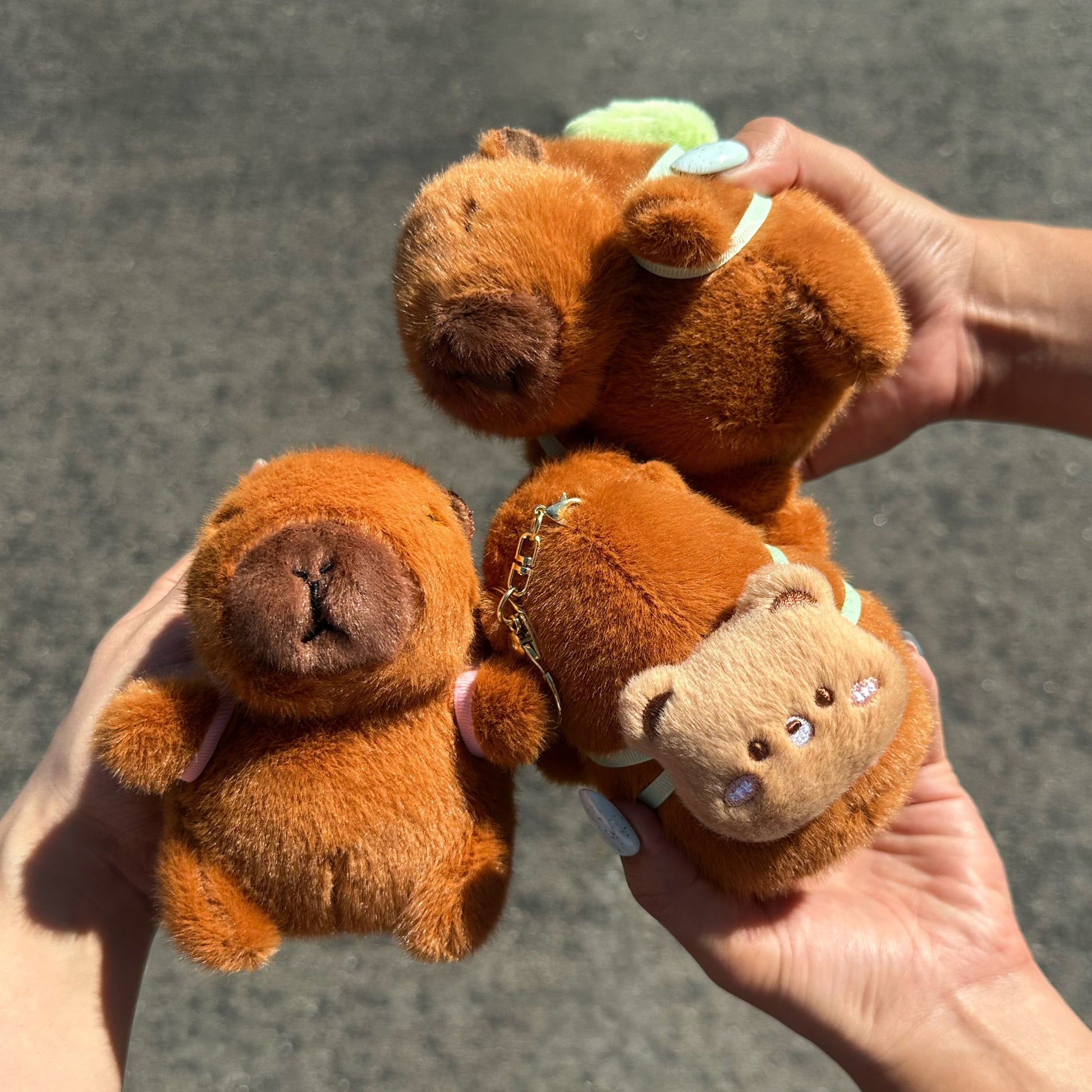 Three small plush capybara keychains or charms being held in three hands. Soft capybara keychain wearing a cute bear shaped backpack with a gold keyring keychain.