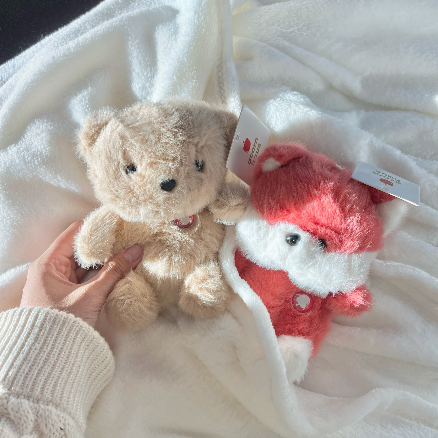 Hand holding Bear Puff Little besides Red Fox Puff Little on white blanket in lifestyle setting